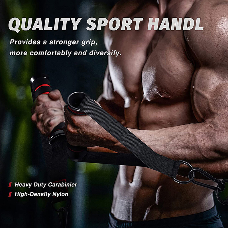 Heavy Duty Cable Machine Handl - Gymnastic Ring 评论和价格